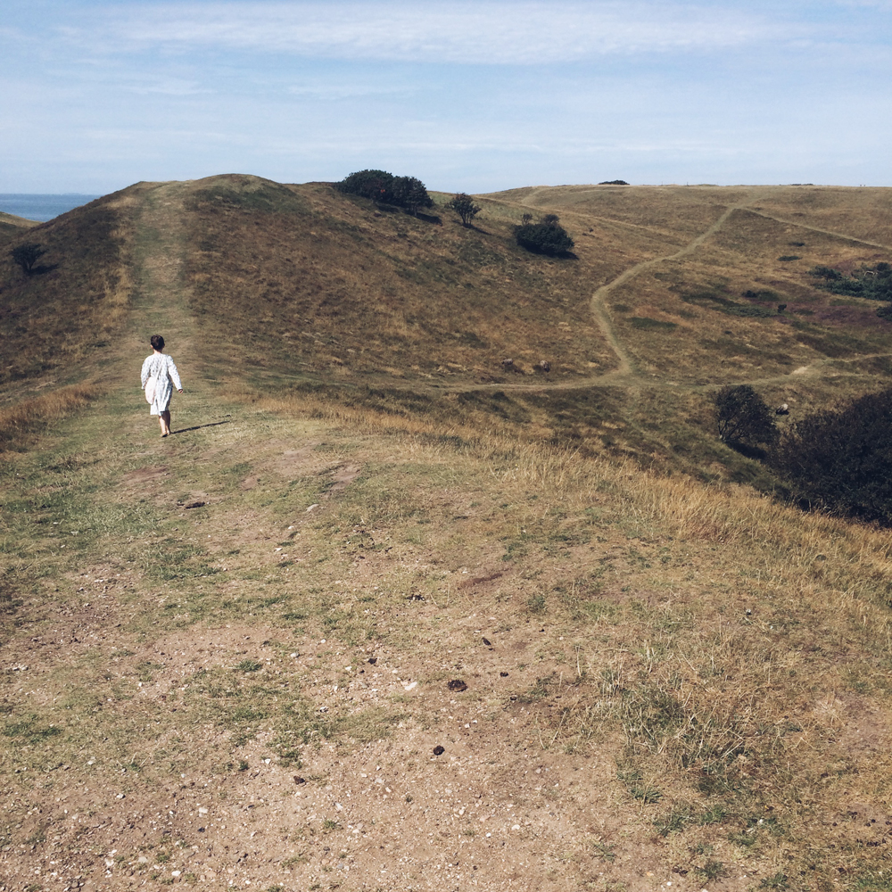 Nature_areas_denmark_favorite_heatherhill_little_kin_journal_kids_blog_2.