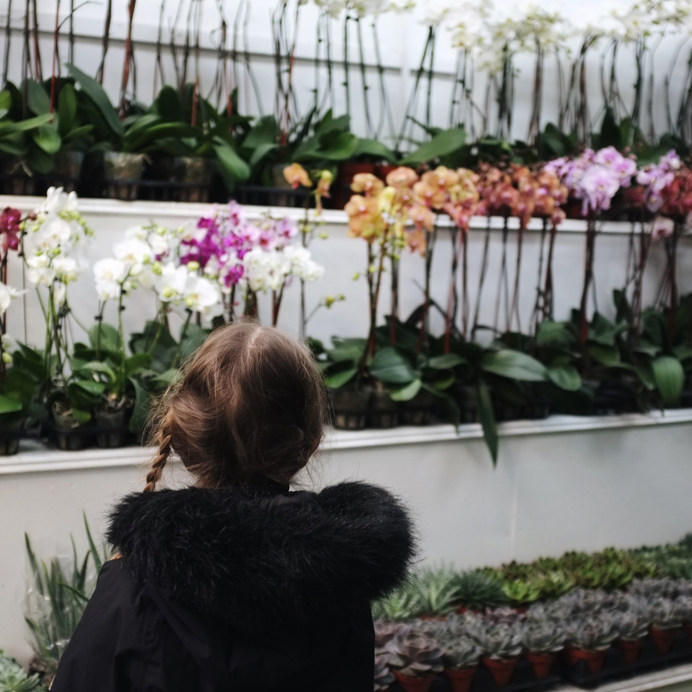 New_York_flower_market_visiting_with_kids_little_kin_journal_5