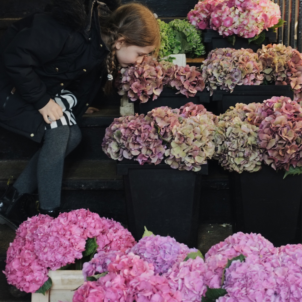 New_York_flower_market_visiting_with_kids_little_kin_journal_7